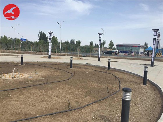 新疆省-阿图什市-乡村广场LED景观灯 1