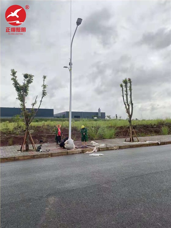重庆潼南区市电路灯工程案例