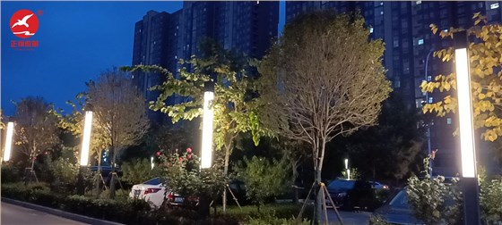 河南市电景观灯工程案例