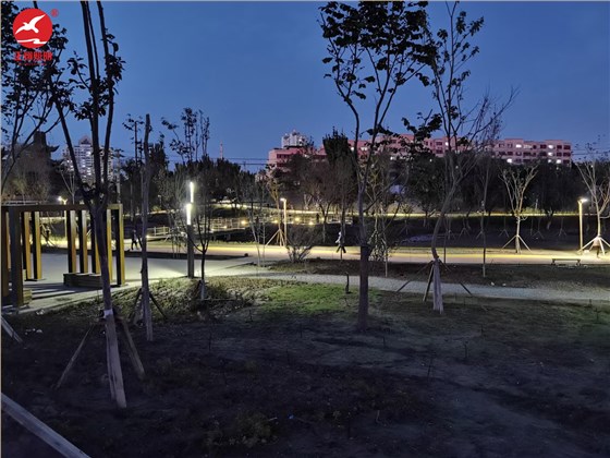 新疆哈密市伊州区建设东路哈铁公园庭院灯项目