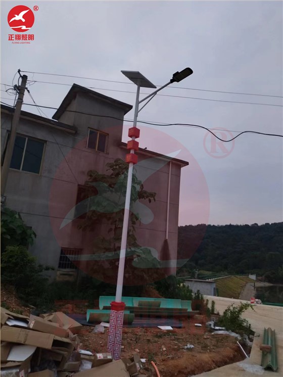 江西民族风太阳能路灯工程案例