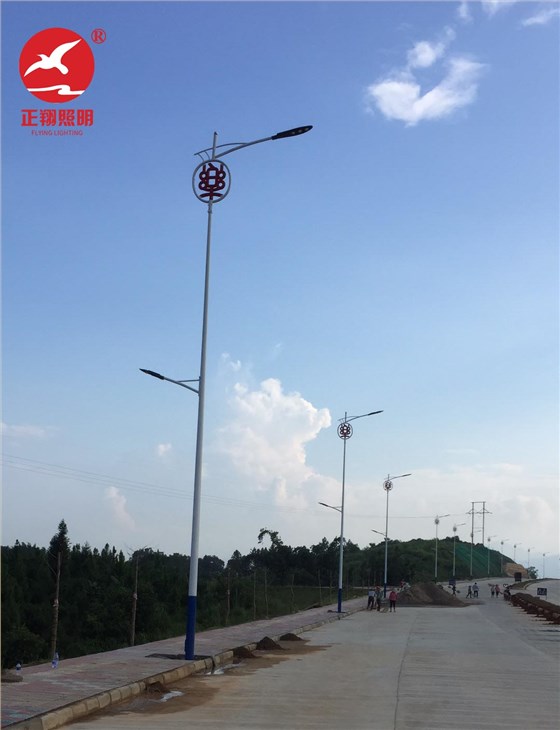 广东省-韶关市-乐昌路灯灯具工程案例图片 (2)
