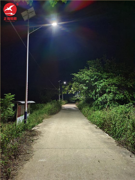 广西桂平乡村太阳能路灯项目案例