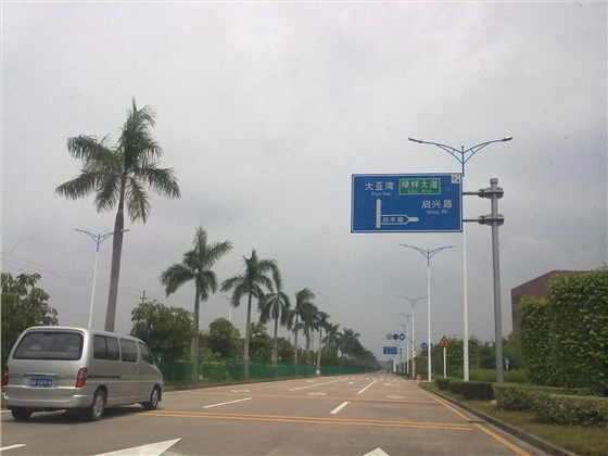 广东省-惠州市-大亚湾路灯工程-LED路灯案例 (2)