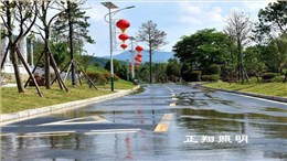 太阳能路灯成为新农村建设安装全覆盖