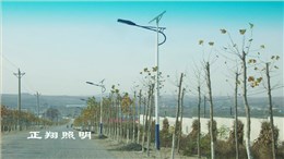 太阳能路灯产品符合节能减排政策