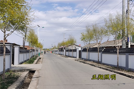 太阳能路灯