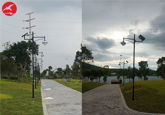 广西省柳州市鱼峰区曙光大道太阳能庭院灯工程案例