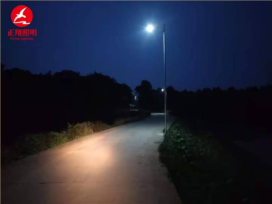 新农村led路灯案例