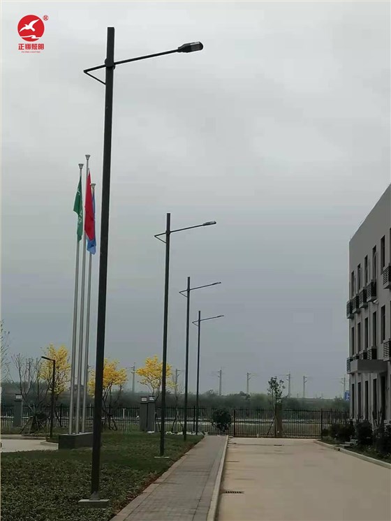 广西单臂市电路灯工程案例