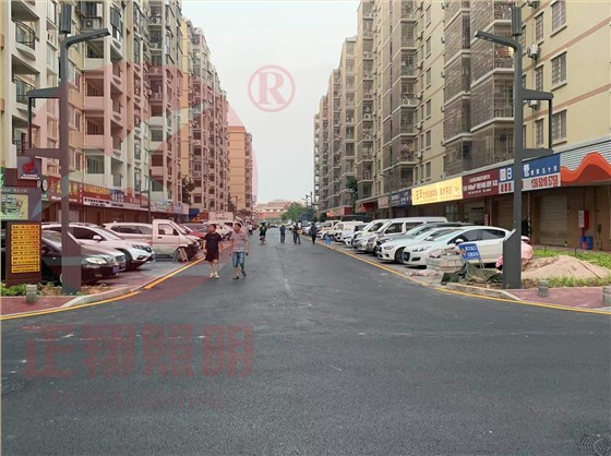 福建省厦门市湖里区嘉福社区智慧路灯工程案例