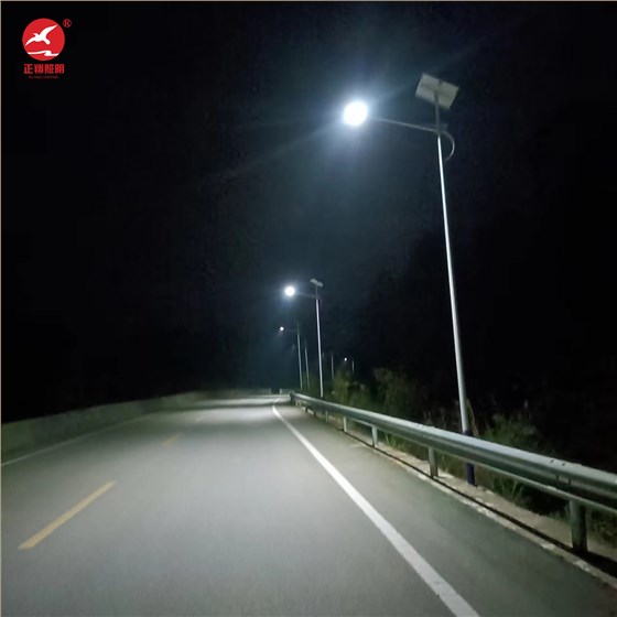 贵州余庆县太阳能路灯项目