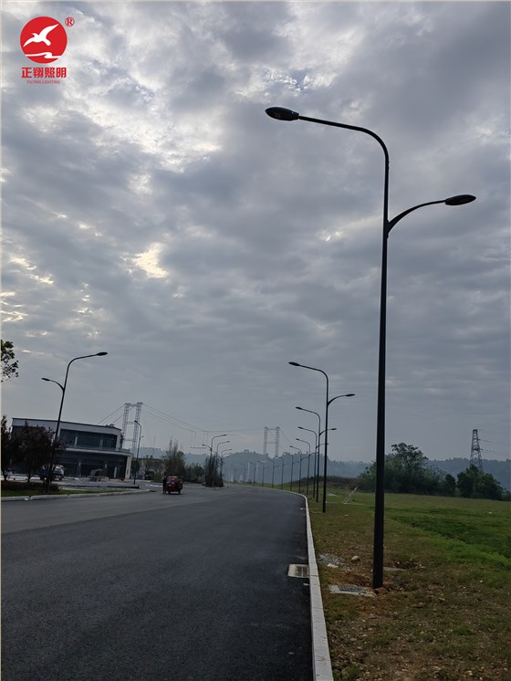 重庆高低臂路灯工程项目案例