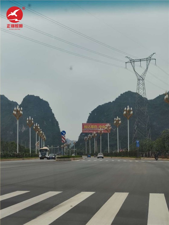 广西壮族自治区玉兰灯工程案例