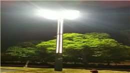 湖南-株洲醴陵市玉兰灯安装工程案例