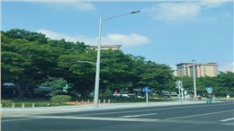 广州白云区市政路灯工程案例
