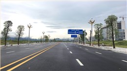 广东肇庆玉兰灯安装