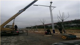 贵州毕节9米市政路灯安装