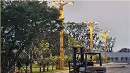 浙江湖州市政玉兰灯安装工程项目