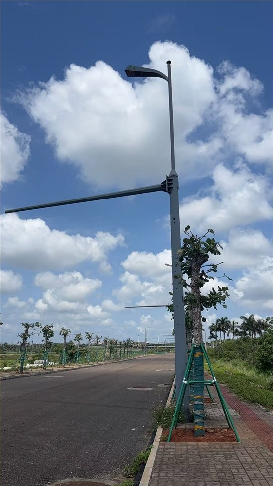 海南美兰机场临空经济区基础综合杆设施配套建设项目