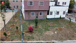 广东省汕尾市陆丰市潭西镇单臂6米led路灯工程案例