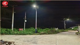广西桂平乡村太阳能路灯项目案例