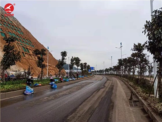 117福建省-福州市-连江县-风光互补路灯4