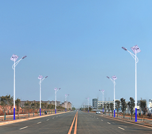 LED太阳能路灯ZX-LD033