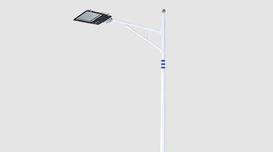 LED市电路灯ZX-LD103