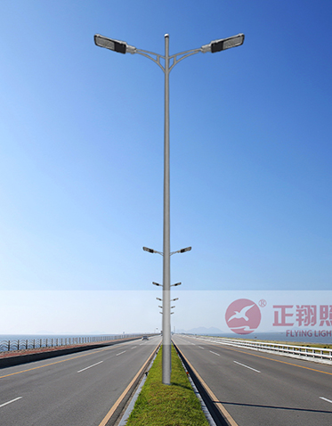 LED市电路灯ZX-LD107